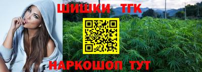 хмурый Сланцы