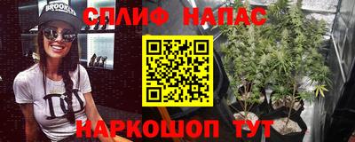 хмурый Сланцы