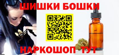 хмурый Сланцы