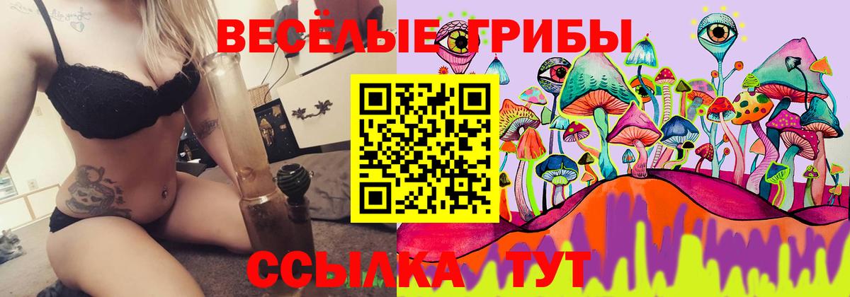 Галлюциногенные грибы мицелий  Вход с VPN  Новокубанск 